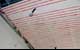 Soffitto climatizzato